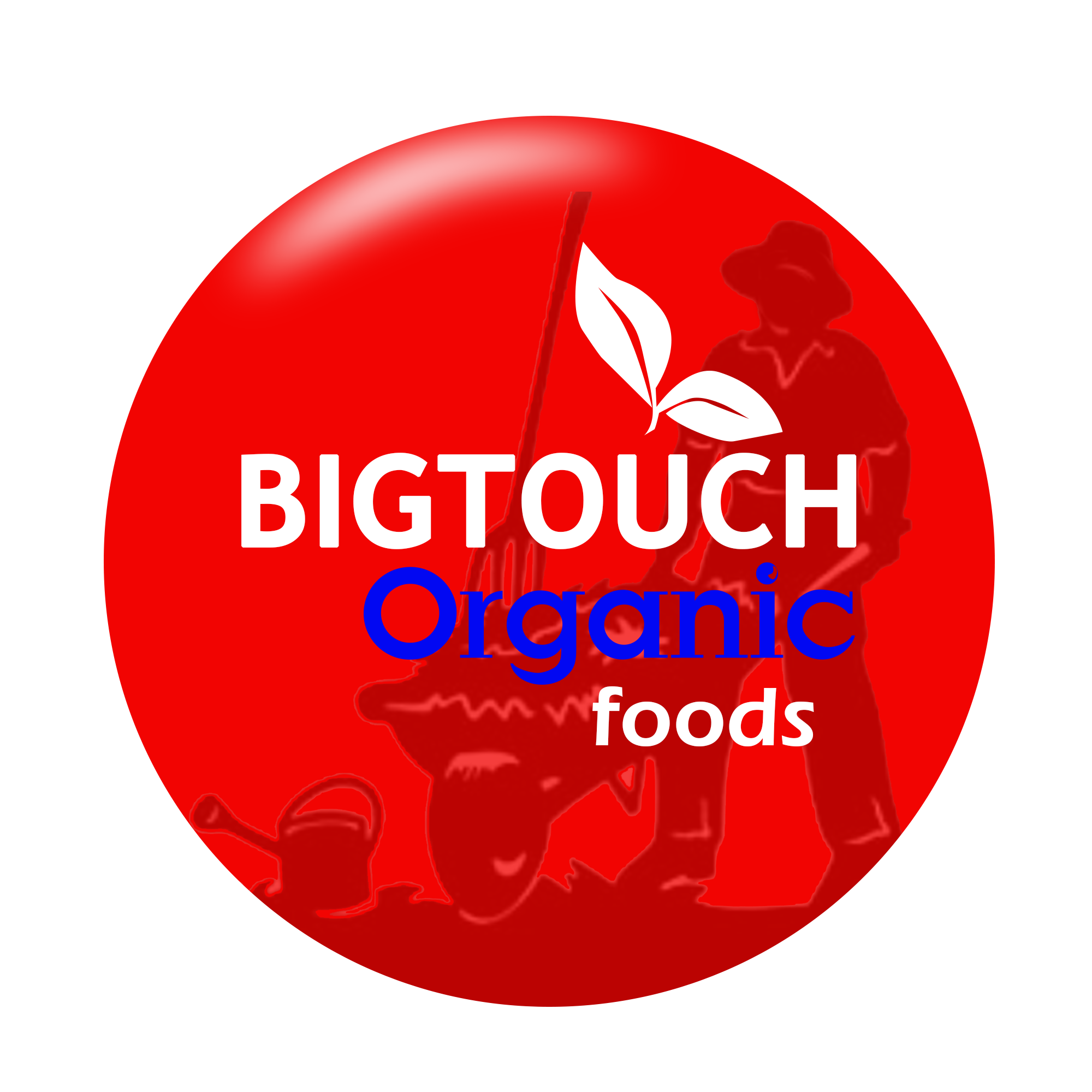 Bigtouch Organic Foods - 